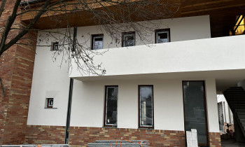 Élőkép