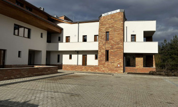 Élőkép