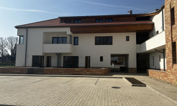 Élőkép