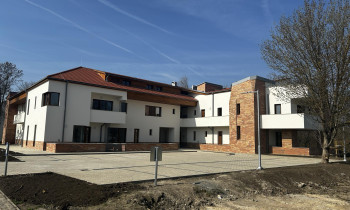 Élőkép